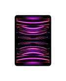 Apple Pro 2022 11 WiFi 512GB